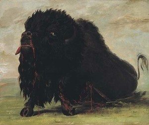 George Catlin - Dying Buffalo, Shot with an Arrow