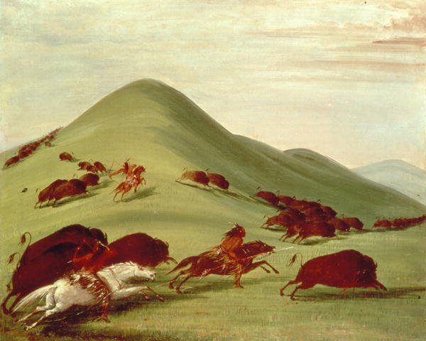 The Buffalo Hunt