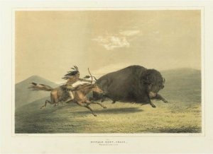 Catching The Wild Horse And Buffalo Hunt, Under The White Wolf Skin