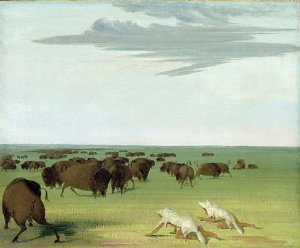 Buffalo Hunt under the Wolf-skin Mask